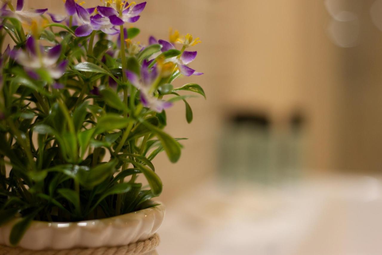Suite Corallo - Smart Holiday Mantova Exterior photo